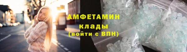 стафф Инта