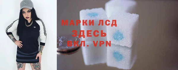 стафф Инта