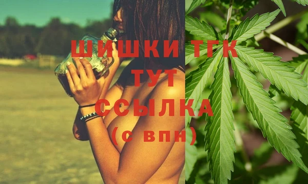 стафф Инта