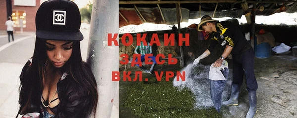 стафф Инта