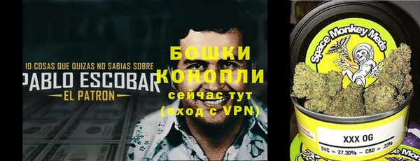 стафф Инта