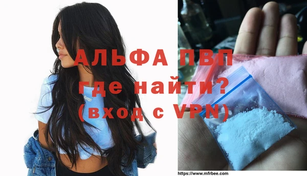 стафф Инта