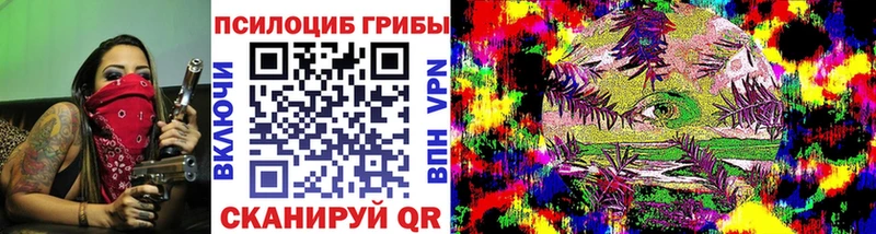 Купить закладки  Владикавказ  Галлюциногенные грибы MAGIC MUSHROOMS 